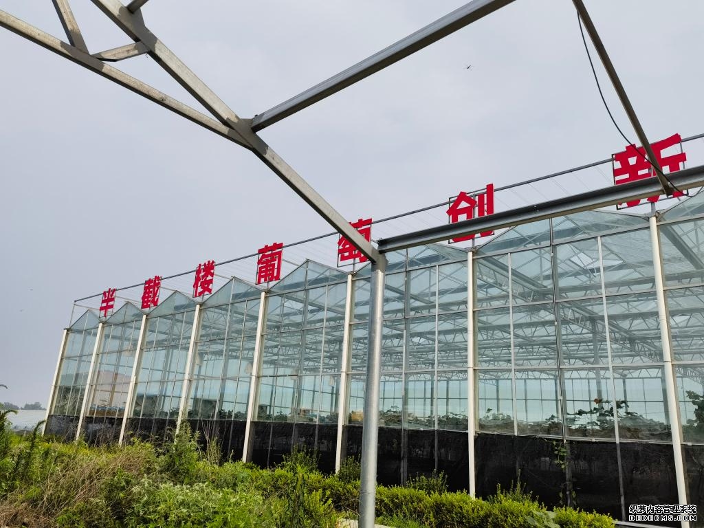 山东潍坊市坊子区以农文旅融合绘就乡村振兴新图景