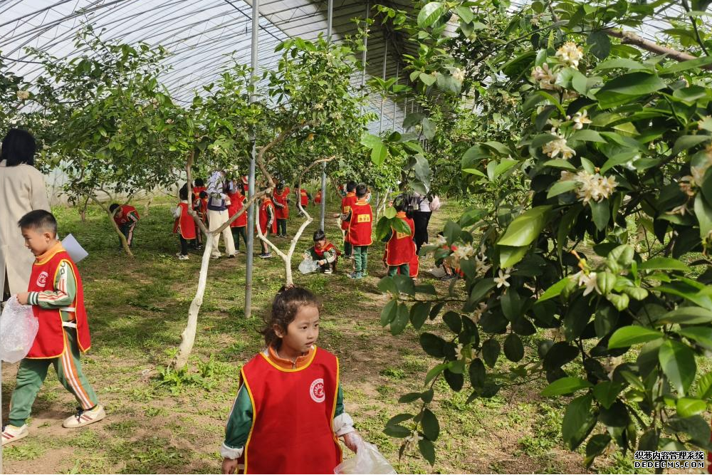 山东潍坊市坊子区以农文旅融合绘就乡村振兴新图景